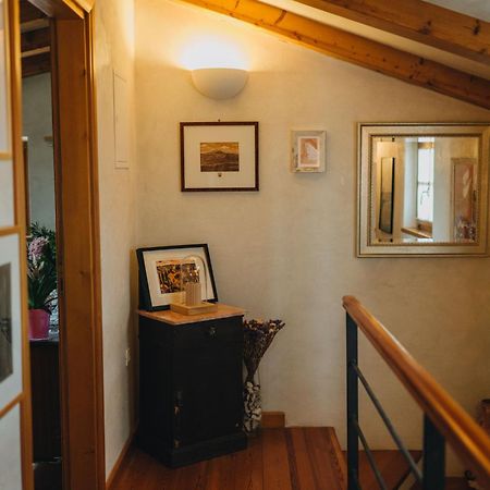 Villa Dreamhill Meloni Motovun Esterno foto